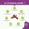 Silymarine Maroc Chardon Marie BIO - Poudre de Graines Pure Sans Excipient - Complément Foie Triple Action 2