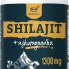 Shilajit Capsules