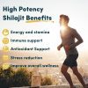 Shilajit Capsules – Image 5